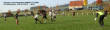 thm_Rudolphshan-SVS II 12.10.08 04.gif